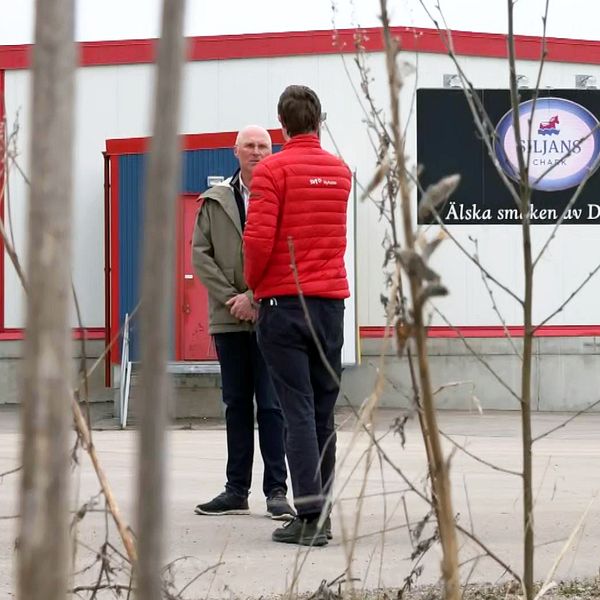 Två personer, reporter och vd på siljaschark står framför slakteriet utanför Rättvik.