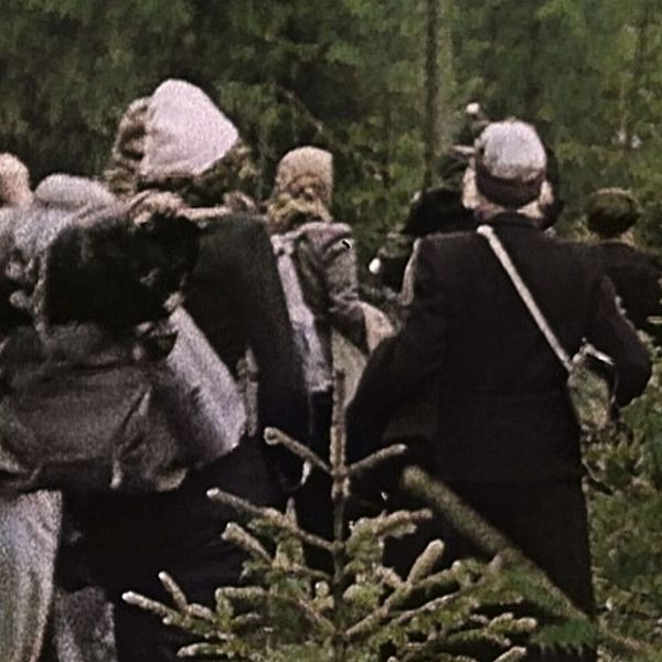 Människor med packning vandrar genom tät skog, omgivna av granar och tallar.