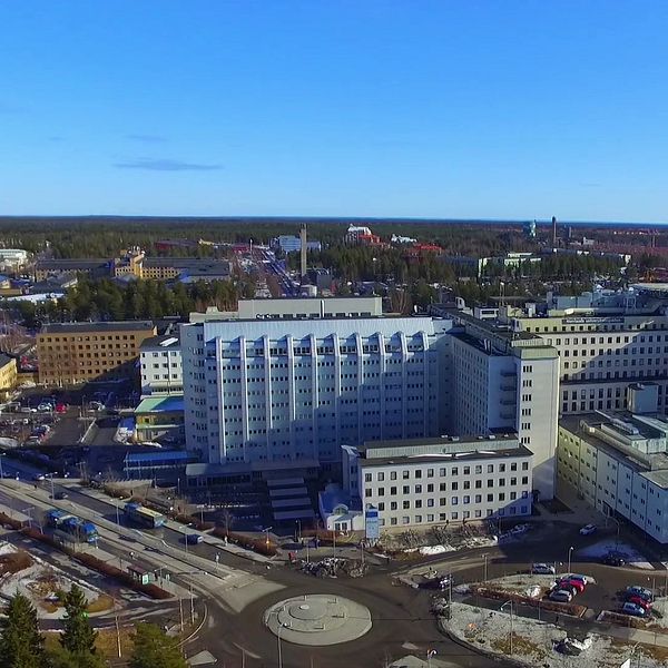 drönarbild över NUS i Umeå