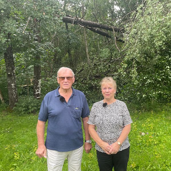 Par framför fallna trädet.