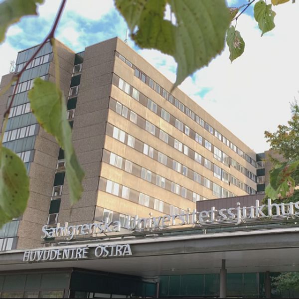 Entén till Sahlgrenska universitetssjukhuset.