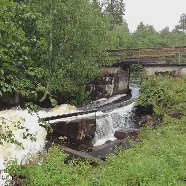 Delad bild – till vänster en bild på en fors där vatten strömmar, till höger en bild på en man med kort hårt och glasögon.