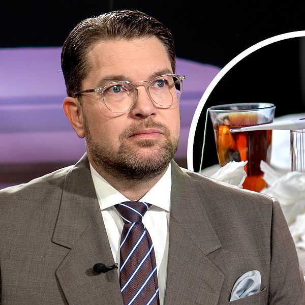 SD begär att Katja Nyberg (SD) entledigas | SVT Nyheter