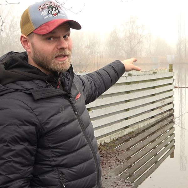 Joost Sjöström-Tiddens pekar på en äng som är översvämmad med vatten i Revingeby.