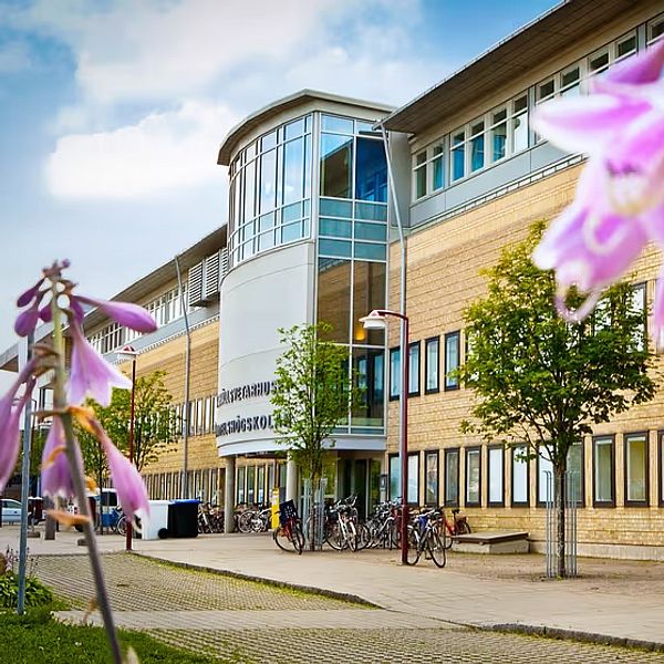 En av entréerna till Umeå universitet under sommaren. I förgrunden syns två rosa blommor