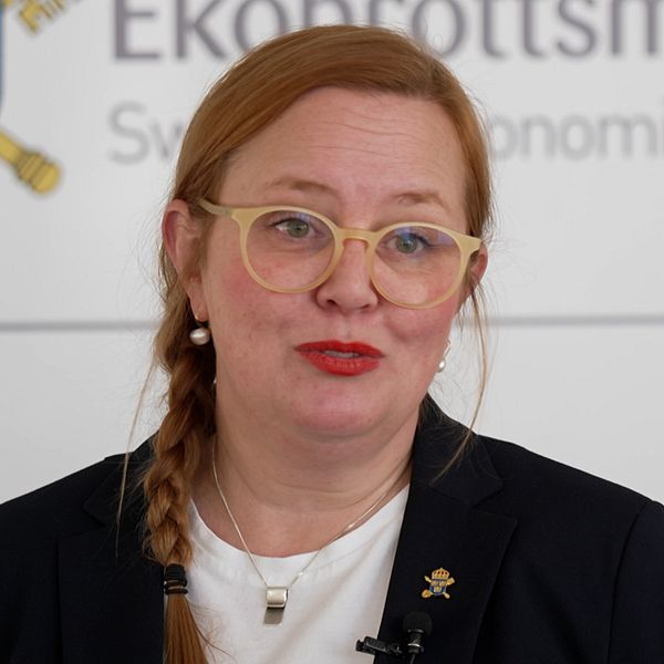 Ann Lidén, åklagare Ekobrottsmyndigheten