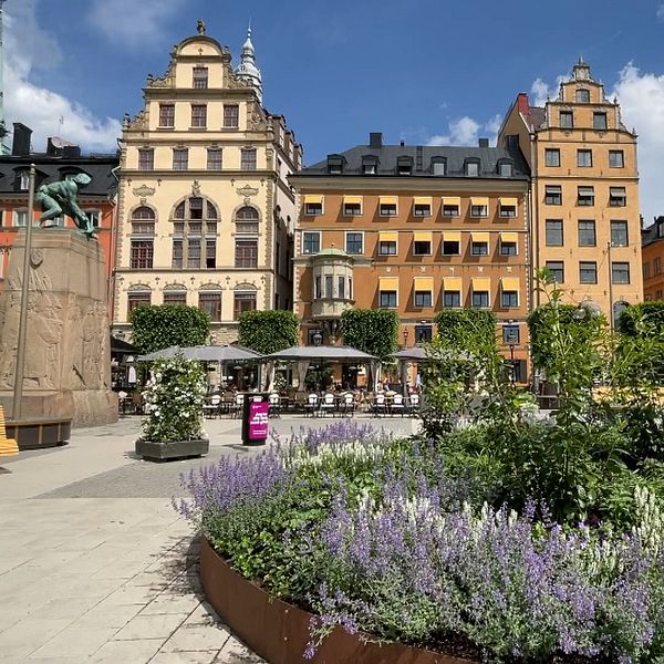 Parkeringsplatserna på Kornhamnstorg har nu ersatts med bänkar och planteringar med blommor.