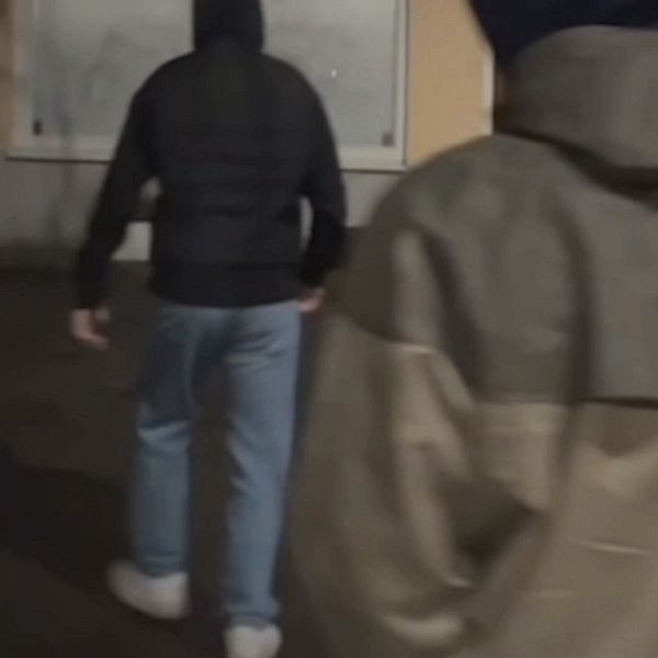 Anonyma aktivister som attackerar påstådda pedofiler
