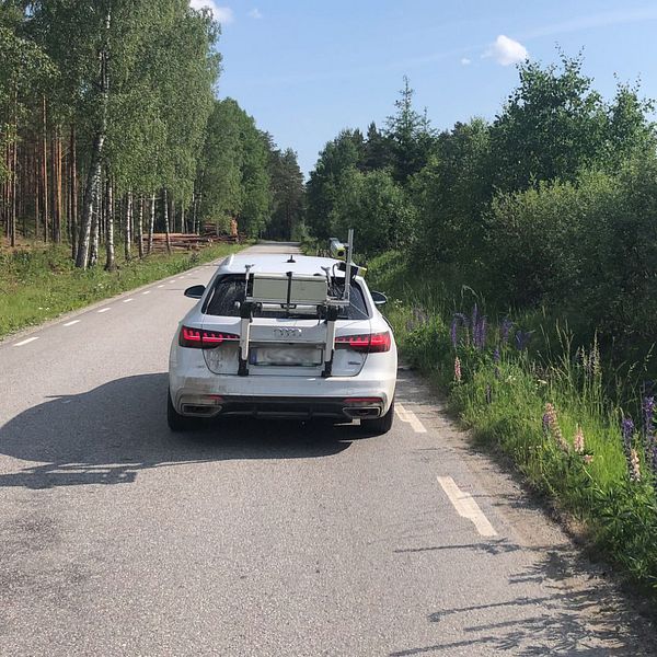 Trafikverket vill utveckla metoden att leta upp invasiva växter utefter vägarna. Hör mer i videon.