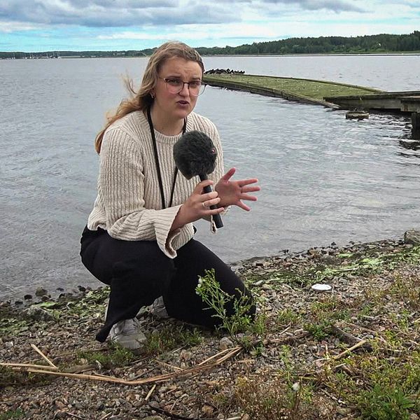 SVT:s reporter Erika Landt vid Nyköpingsån.