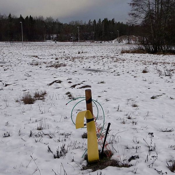 En ensam gul synlig markering i en snötäckt äng med sparsamt med växtlighet. Bakgrunden visar en skog och en grå himmel.
