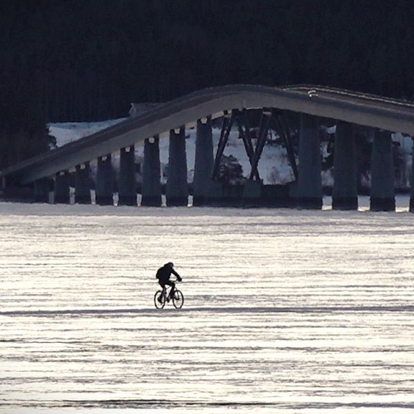 Vallsundsbron över Storsjön ses i bakgrunden. Cyklist cyklar över isen framför bron.