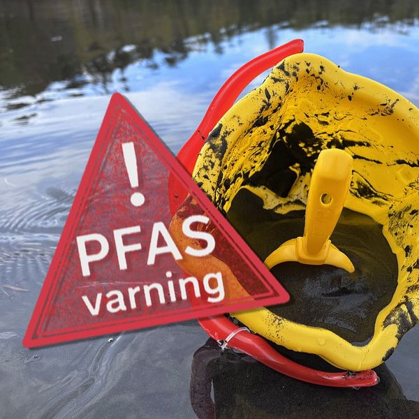 PFAS-varning vid gul plasthink i strandkant