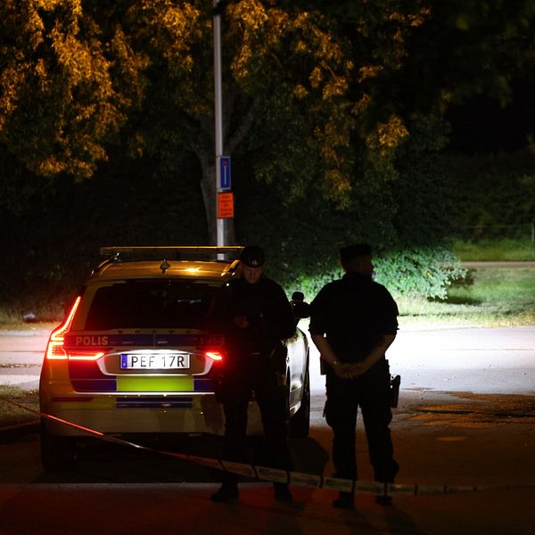 Poliser i Årby