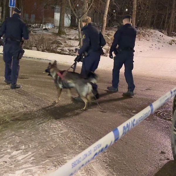 Polisinsats i Eskilstuna, polisbil, avspärrningsband och poliser samt polishund syns
