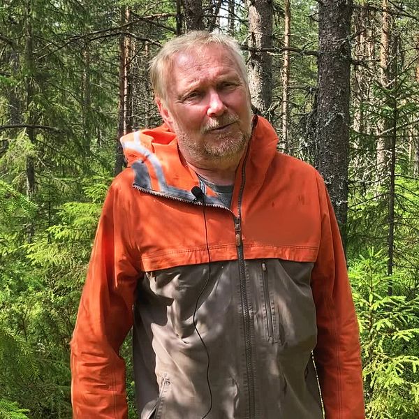 Jan Stenlid står i skogen.