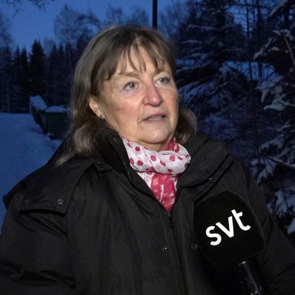 Bisse Falk från Naturskyddsförningen står i en snöig skog i skymningen och intervjuas.