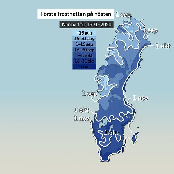 SVT:s meteorolog Per Stenborg berättar kort om när första frostnatten för hösten normalt sett inträffar.