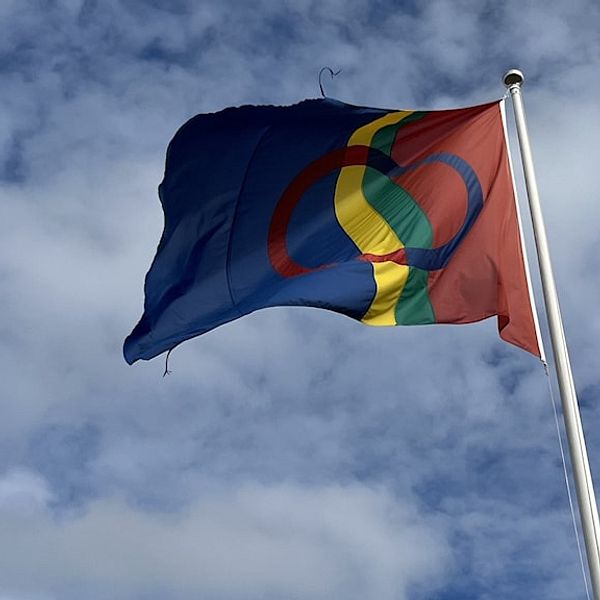 Samisk flagga