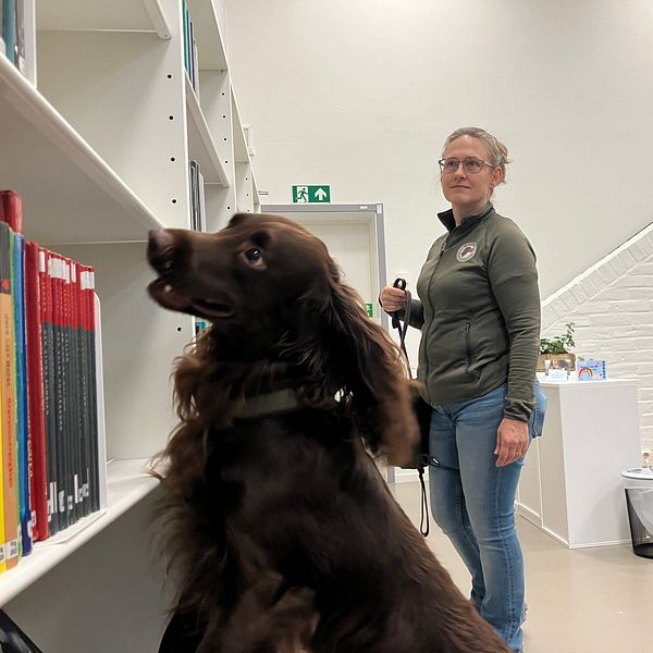 En hund stående på framfötterna vid en bokhylla, med böcker i röd och svart färg. En person i bakgrunden håller i en koppel och står i ett ljust, modernt bibliotek med en trappa i bakgrunden.