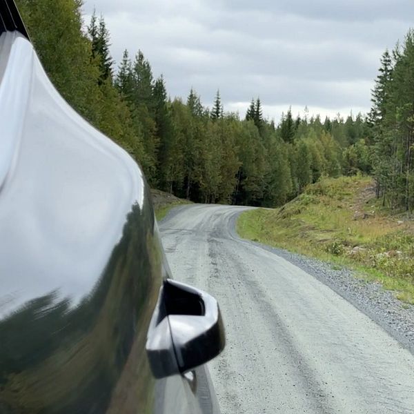 En väg nära byn Ankarsund i Storumans kommun som slingrar sig genom en skogig miljö, sedd från passagerarsidan av en bil. Den grusade vägen är omgiven av träd med höstfärger.