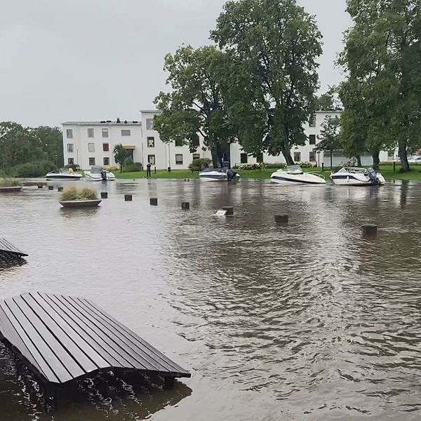 Kungsbackaån som svämmat över.