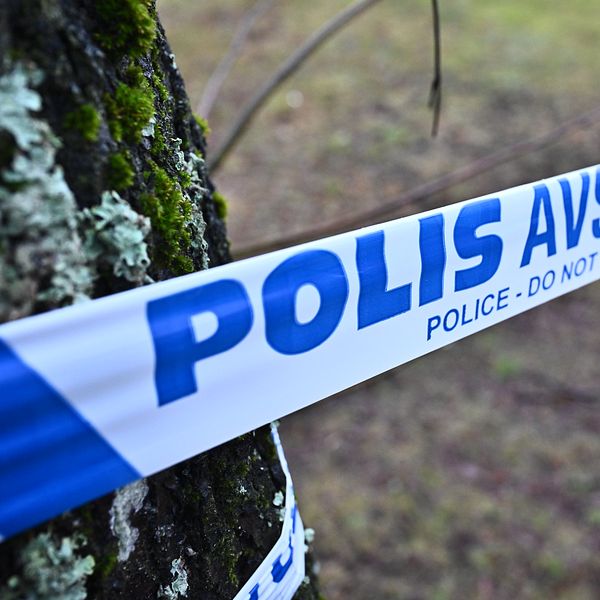 Polisens avspärrningsband syns vid ett träd i en utomhusmiljö.