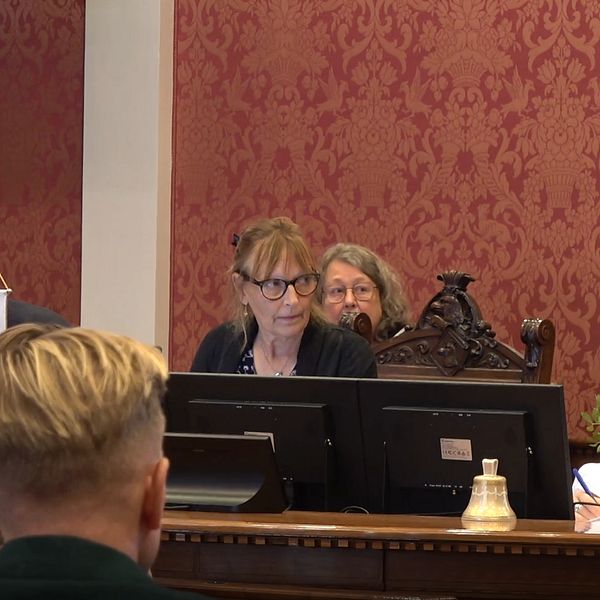 Ordföranden i kommunfullmäktige tillrättavisar under mötet.