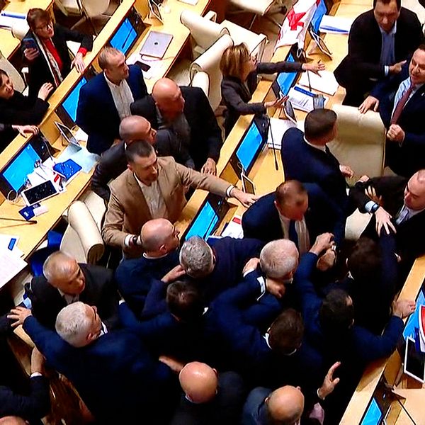 Ledamöter i det georgiska parlamentet ryker ihop under tisdagen