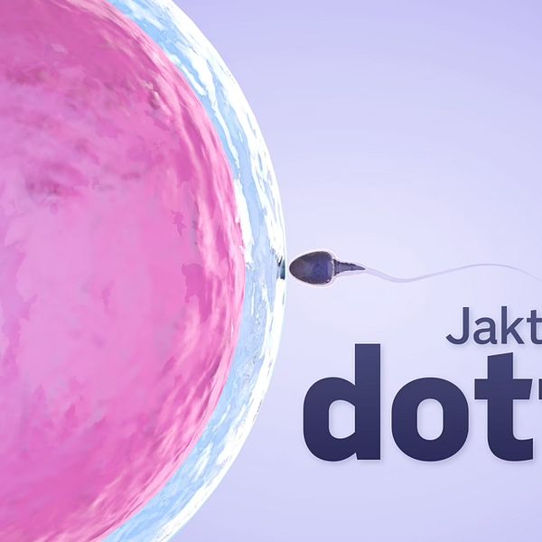 Jakten på en dotter