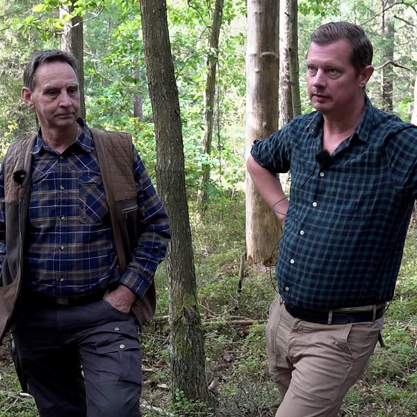 Owe Johansson och Mattias Wahle står i skogen.