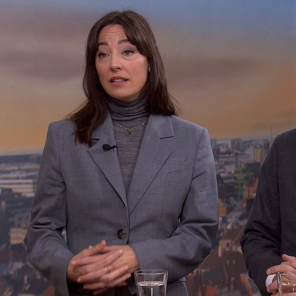 Politikexperter kommenterar SD:s utspel