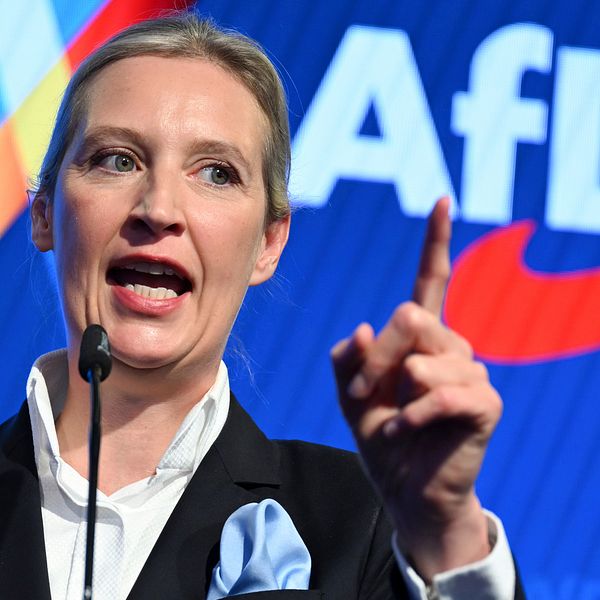 Person i kostym talar framför AfD:s logotyp och pekar med fingret i luften.