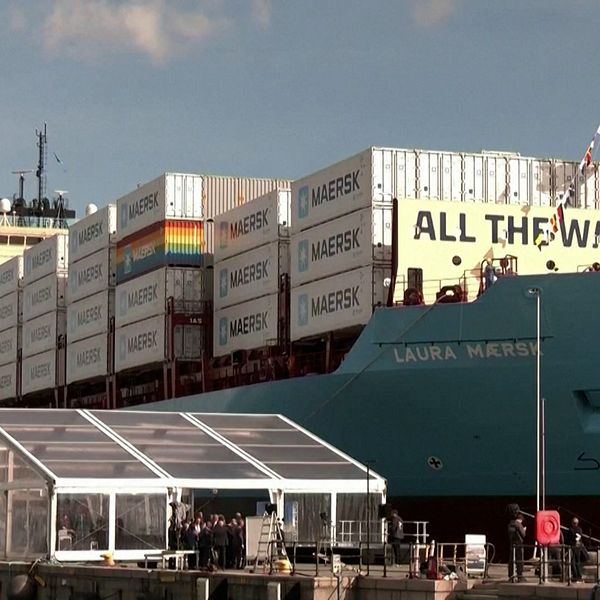 Världens näst största fraktföretag, Maersk, stoppar sin trafik till några av de största hamnarna i Röda havet.