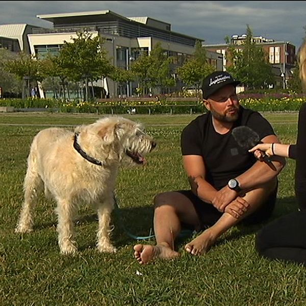 Arthur, hans husse Mikael Lindnord och SVT Västernorrlands reporter.