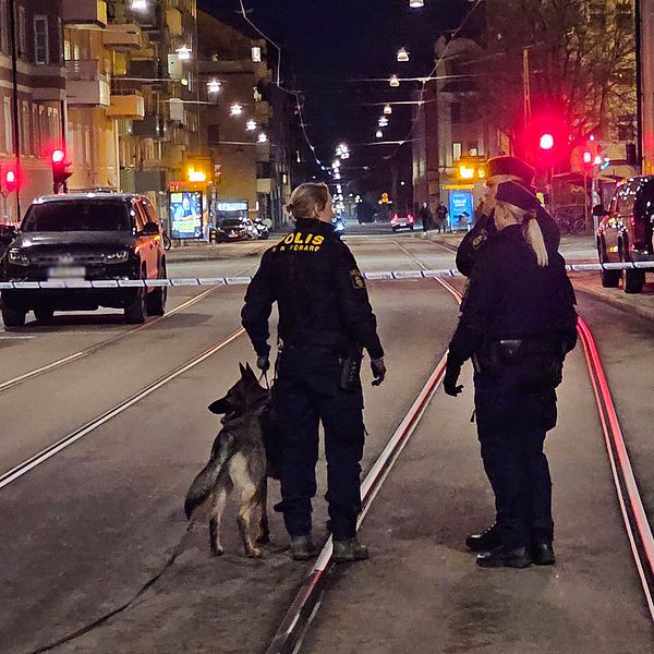 poliser och en hund innanför avspärrat område