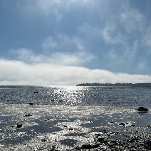 Hårte, Hälsingland den 23/3.
