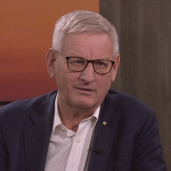 Carl Bildt