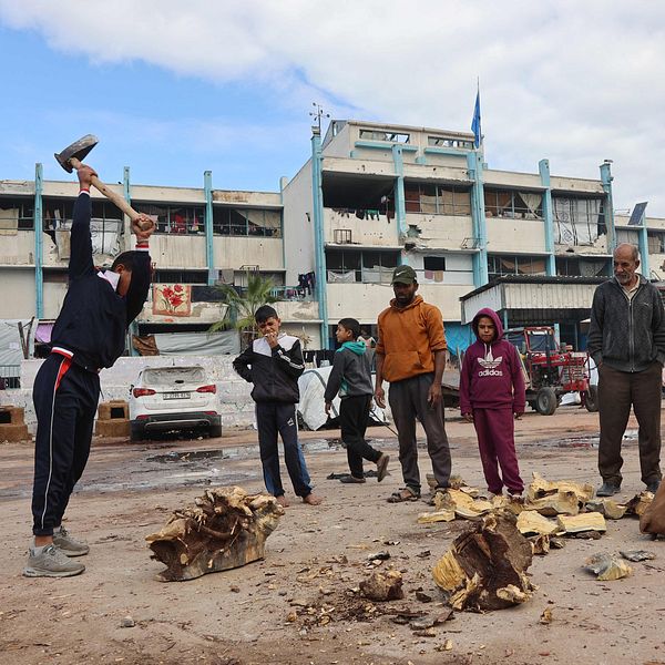 En palestinsk man hugger ved, som ska användas för matlagning eller uppvärmning, på gården till en skola som rymmer fördrivna palestinier väster om Gaza City.