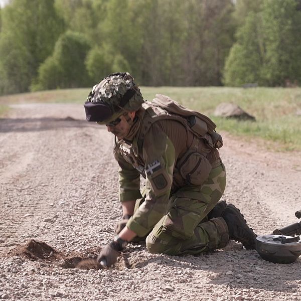 Soldat placerar en mina på en grusväg under en militär övning i skogsmiljö.
