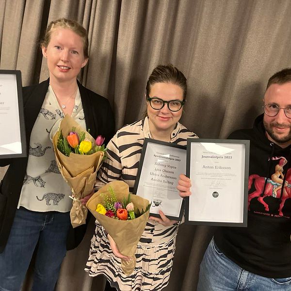 Vinnarna av Värmlands journalistpris