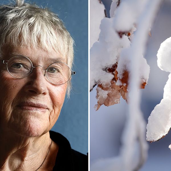 Ingela Strandberg till vänster. Snötäckta löv till höger.