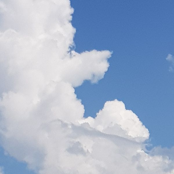 Foto på fluffiga stackmoln mot klarblå himmel.