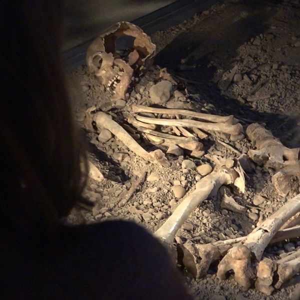 Två flickor i förgrunden som tittar på ett skelett från en forntida grav