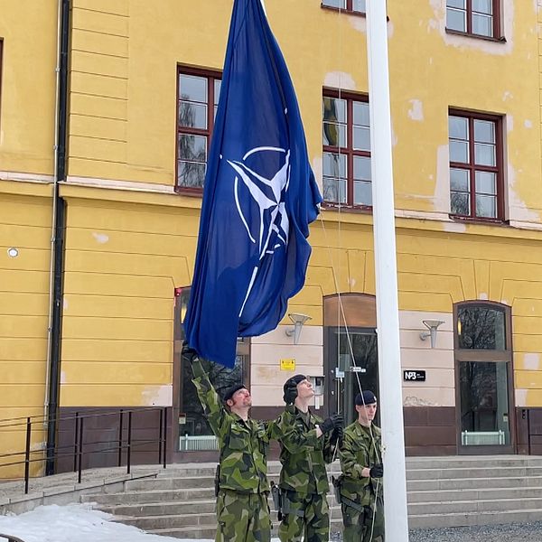Natoflagga hissas hos försvarsmakten i Sollefteå