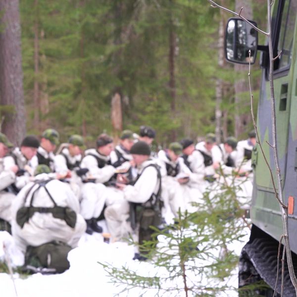 värnpliktiga i skogen