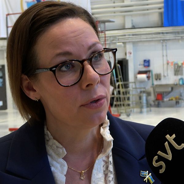 Utrikesminister Maria Malmer Stenergard (M) intervjuas av SVT om regeringens linje i Gaza-frågan.