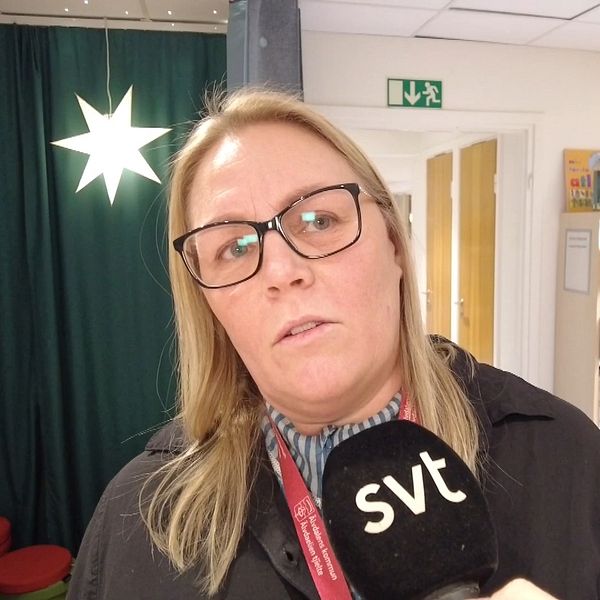 en renskötare