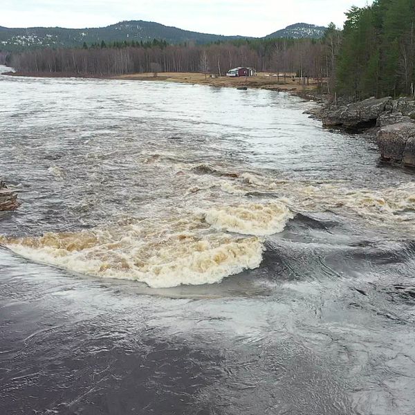 Vårfloden drar fram genom Tornedalen.