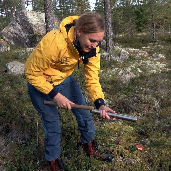 Forskaren Line Djupström med ett ett av sina arbetsredskap